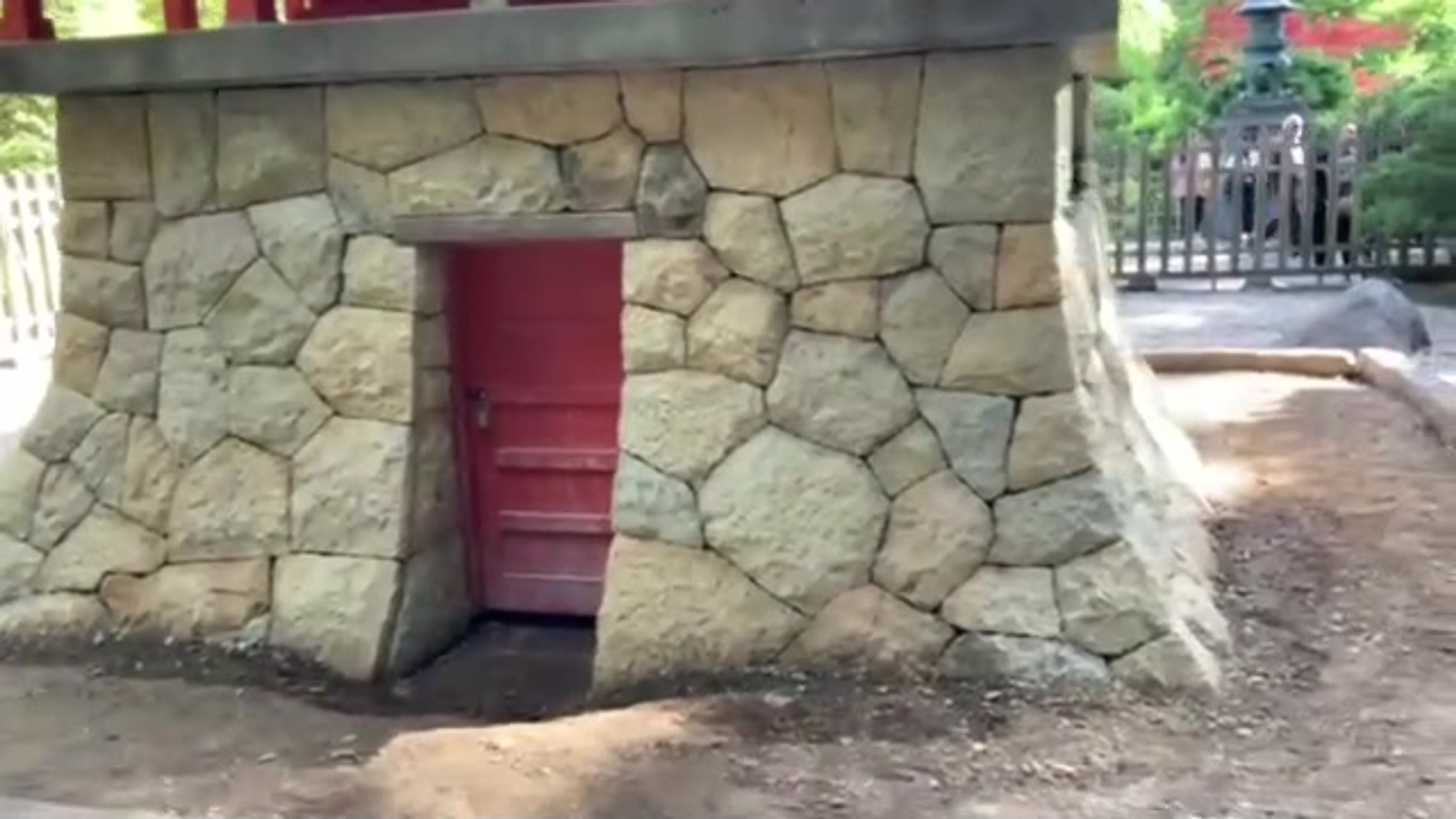 すべての動画